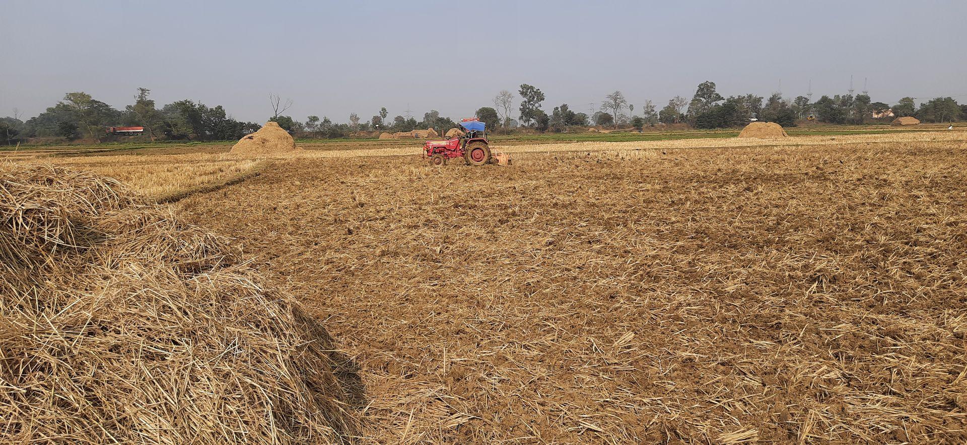 The paddy harvesting in this photograph has been completed, and currently, the land is being prepared for the cultivation of another crop.