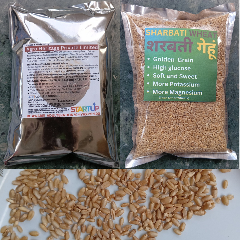 Sarabati Wheat